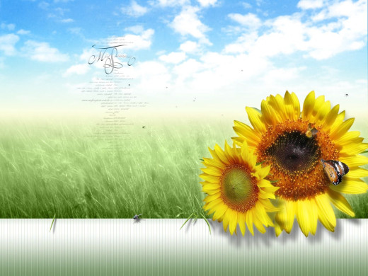 396937 (a): :1280x960